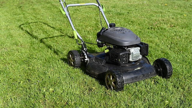 <strong>Common Lawn Problems in Kansas</strong>