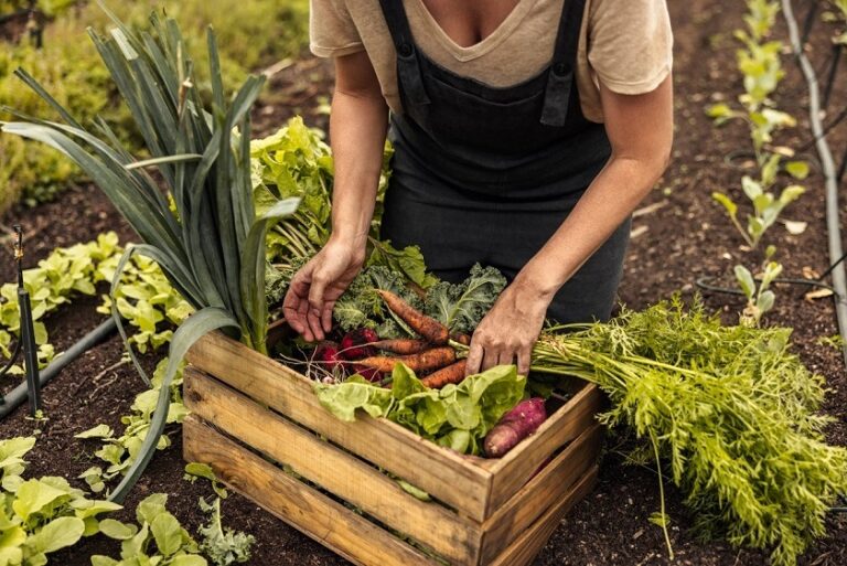 <strong>Growing A Year-Round Garden: 4 Tips And Tricks</strong>
