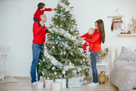 Home Decorators Collection Christmas Tree