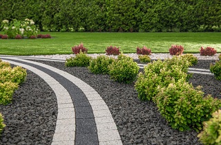 landscape and landscaping