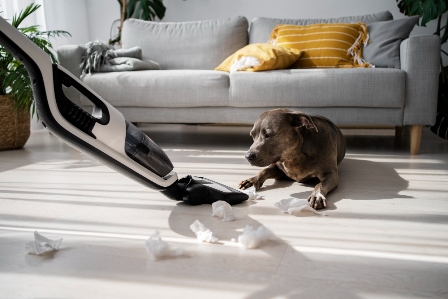 Hoover PowerDash Pet Carpet Cleaner